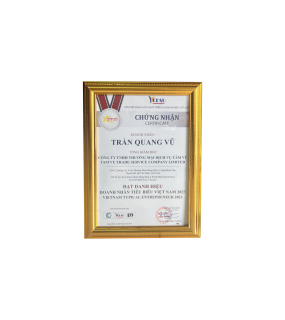 Doanh Nhân Tiêu Biểu Việt Nam