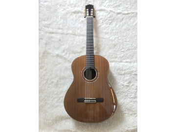 Guitar C009