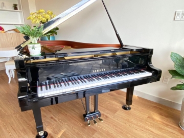 Yamaha Grand C7B(1) 