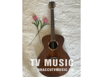 Acoustic Guitar GB-25