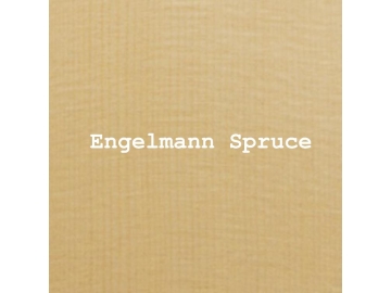 Engelmann Spruce