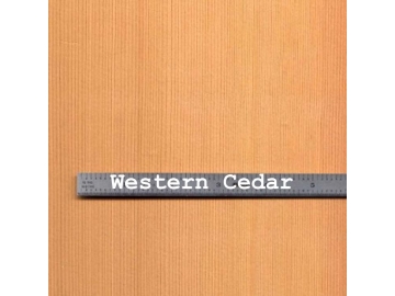 Western Cedar