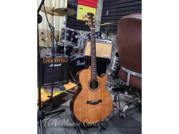 Guitar Acoustic L010