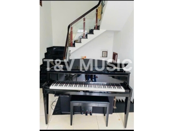 Yamaha N1X( Hybrid )