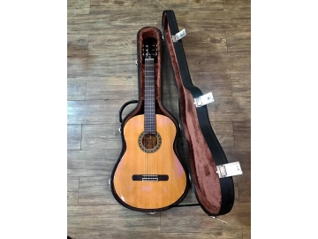 Guitar C050