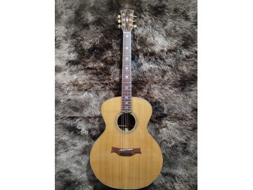 Guitar A050