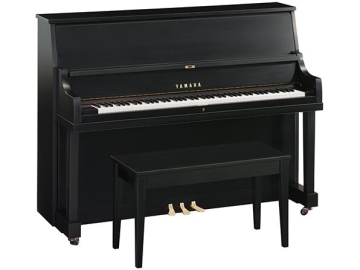 Yamaha P22