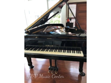 Grand Yamaha C.S-II