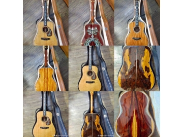 Guitar Custome