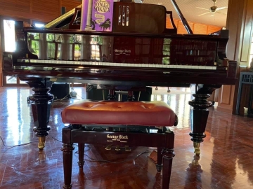 Grand Geogre Sterk ( GS208-HLBC)