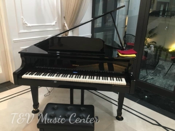 Roland GP-609(PE)(Brand New)