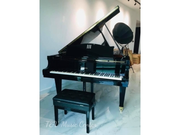 Grand Dipason 171-BG