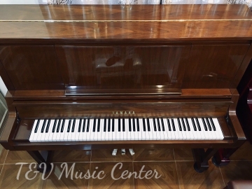 Yamaha YU30 ( Màu Gỗ )( PE)