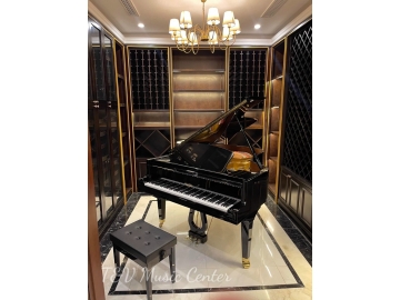 Grand Pleyel(F190)