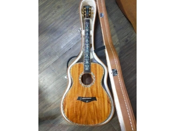 Guitar A028