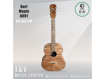Acoustic Guitar A001