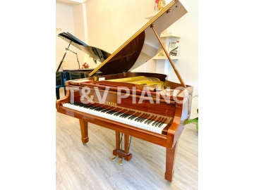 Yamaha G3E ( Mahogany )