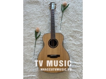 Guitar Acoustic OM-10