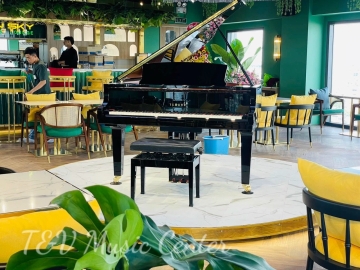 Yamaha C3X( Brand New )( PE )