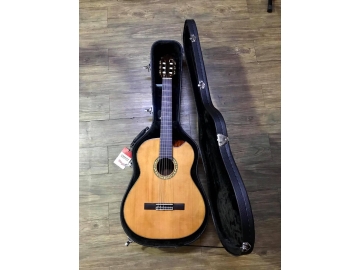 Guitar C055
