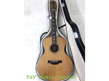 Guitar A100