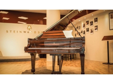 Steinway&Son ( Maccasar Ebony ) 