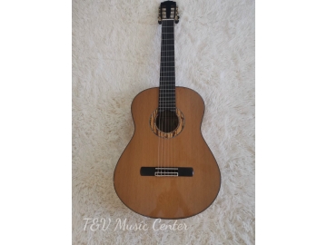 Guitar Classic A030