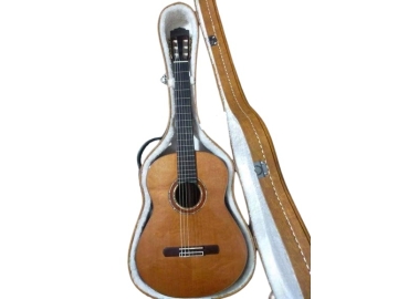 Guitar C005