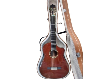 Guitar Classic C001