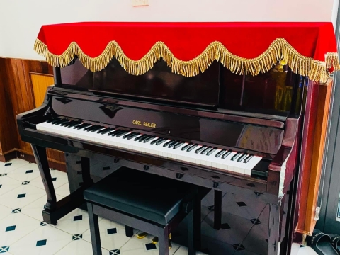 Bộ Sưu Tập Nhà Khách 