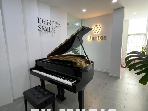 Bộ Sưu Tập Đàn Piano Upgright