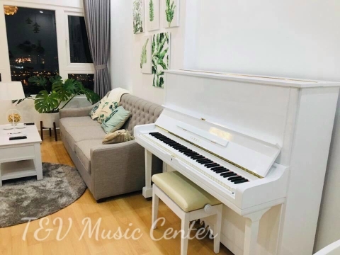 Màu Trắng Tinh Khôi