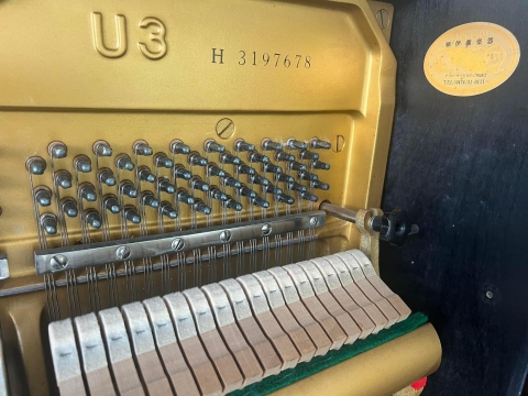 Bộ Sưu Tập Nhà Khách 