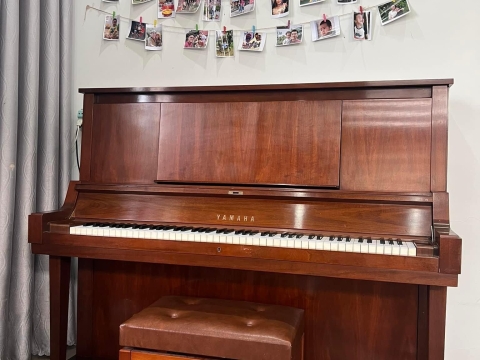 Bộ Sưu Tập Nhà Khách 