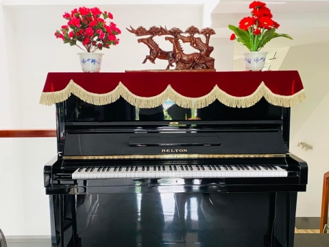 Bộ Sưu Tập Nhà Khách 