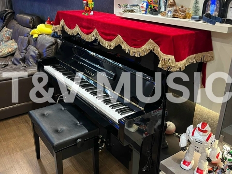 Hình Ảnh Bàn Giao Đàn