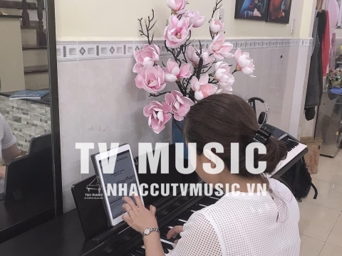 Bộ Sưu Tập Đàn Piano Upgright