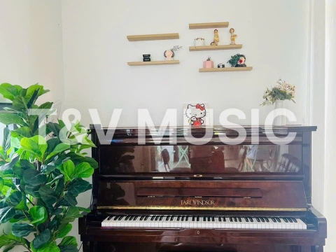 Bộ Sưu Tập Đàn Piano Upgright
