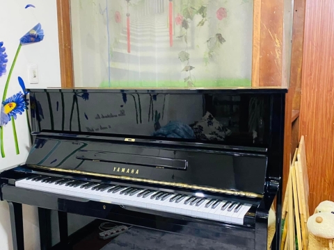 Bộ Sưu Tập Nhà Khách 