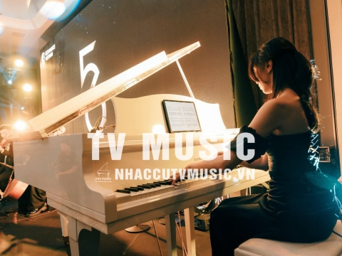 Bộ Sưu Tập Đàn Piano Upgright