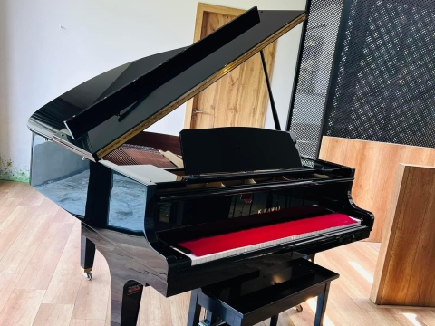 Bộ Sưu Tập Nhà Khách 