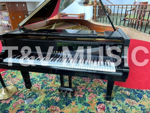 Bộ Sưu Tập Đàn Piano Upgright