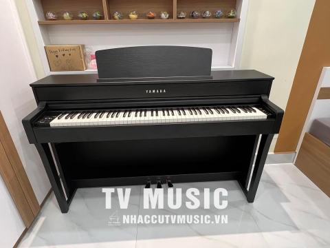 Bộ Sưu Tập Đàn Piano Upgright