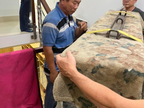 Bộ Sưu Tập Nhà Khách 