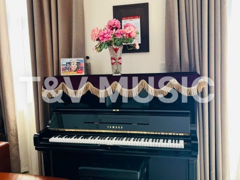 Bộ Sưu Tập Đàn Piano Upgright