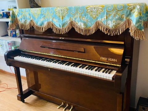 Bộ Sưu Tập Nhà Khách 