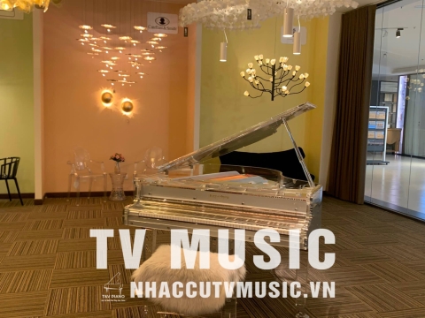 Bộ Sưu Tập Đàn Piano Upgright