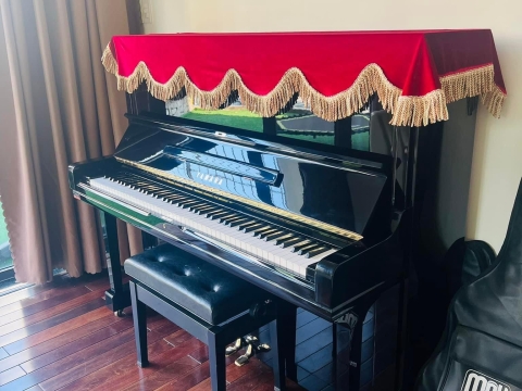 Bộ Sưu Tập Nhà Khách 