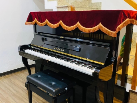 Bộ Sưu Tập Nhà Khách 