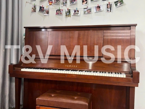 Bộ Sưu Tập Đàn Piano Upgright